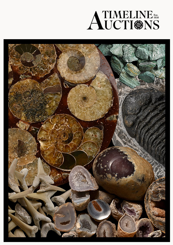 Fossils, Minerals & CrystalsOpen for Entries
